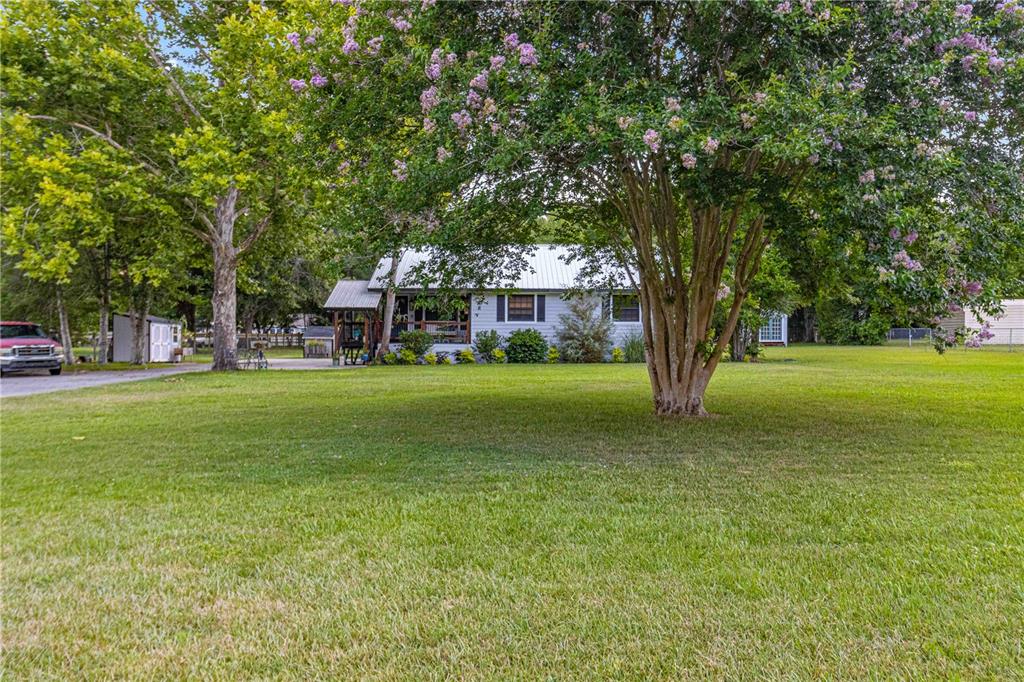 a view of a trees in front of a house with a big yard