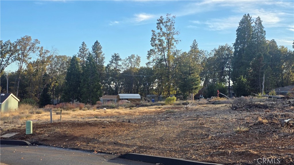 a view of a fire pit with large trees