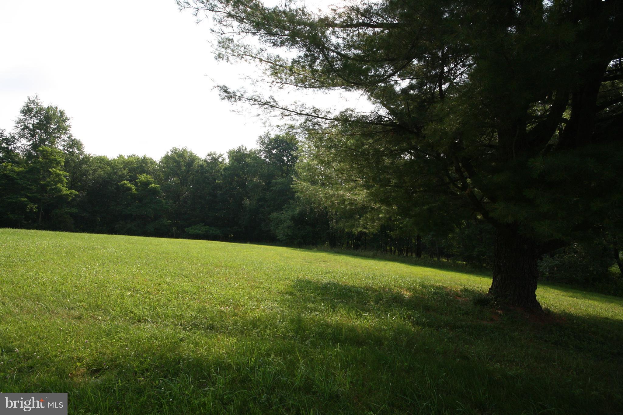 a view of outdoor space and yard