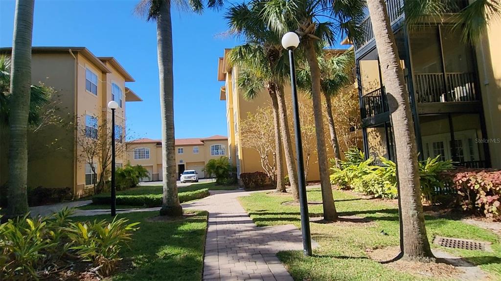 a view of a palm trees front of house