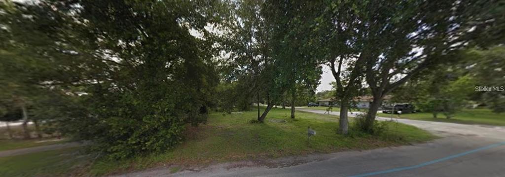 a view of outdoor space with lots of trees