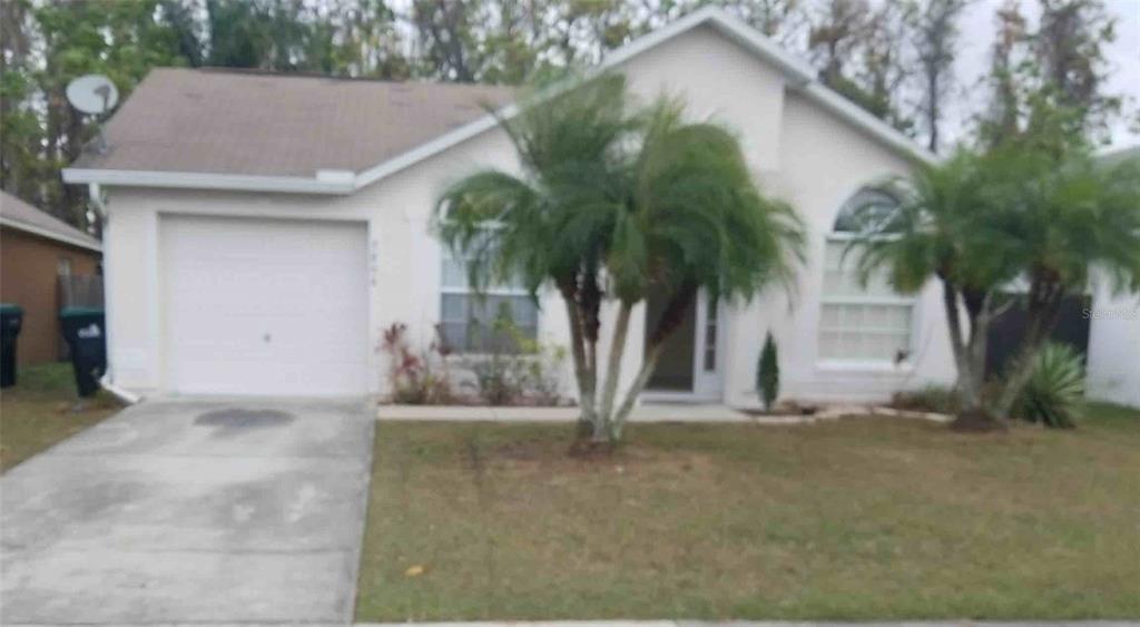 a backyard of a house with potted plants and palm trees