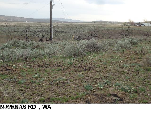 a view of a dry yard