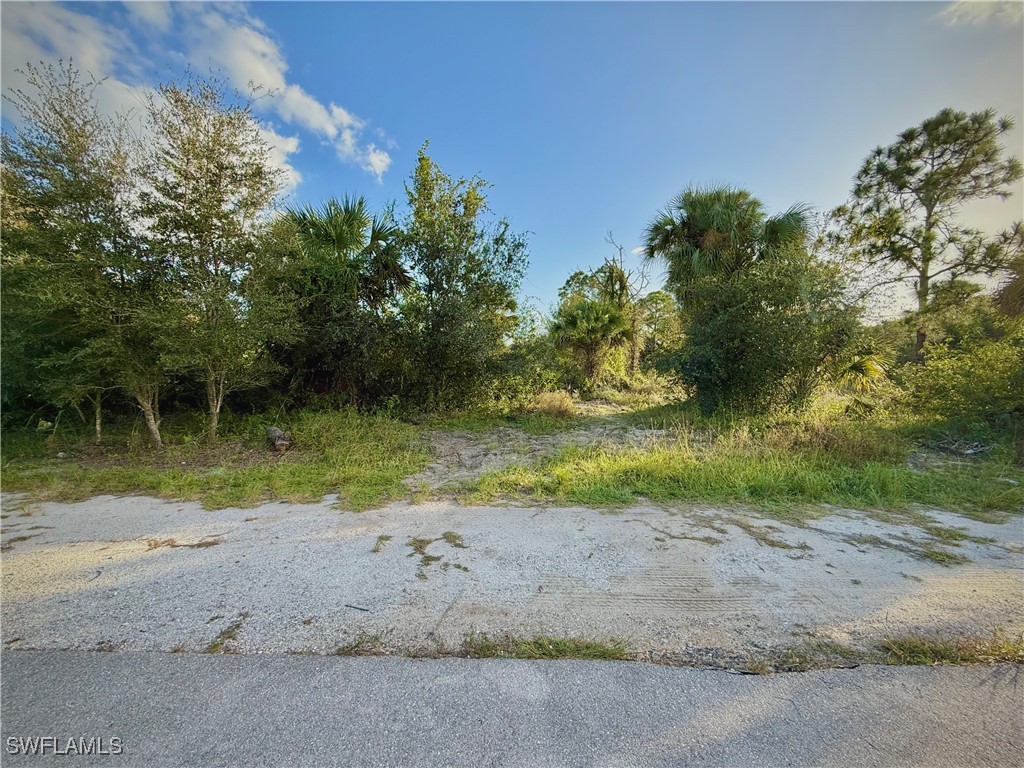 a view of a yard with a tree