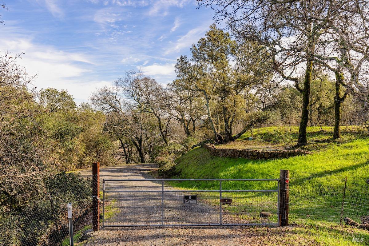 a view of park with trees