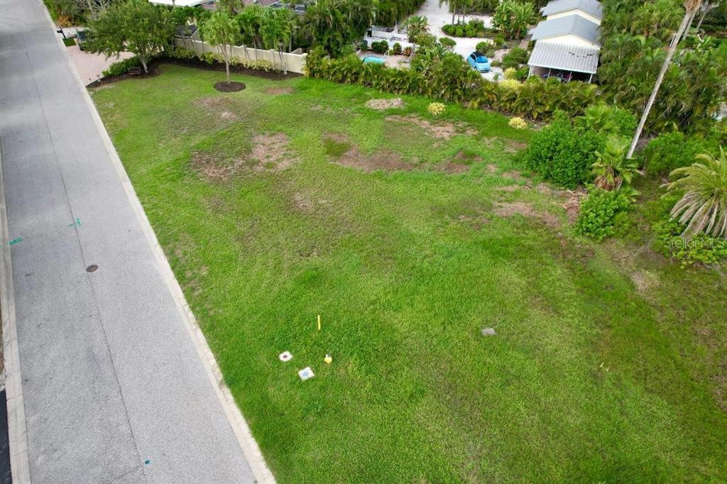 a view of a garden with plants