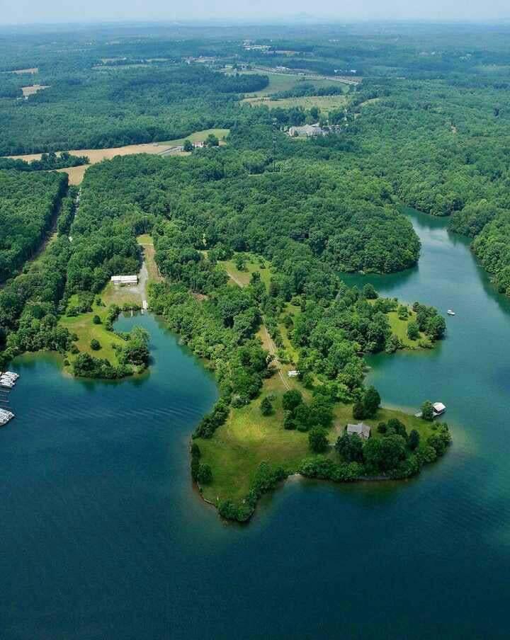 a view of a garden with a lake