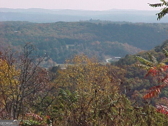 a view of a yard