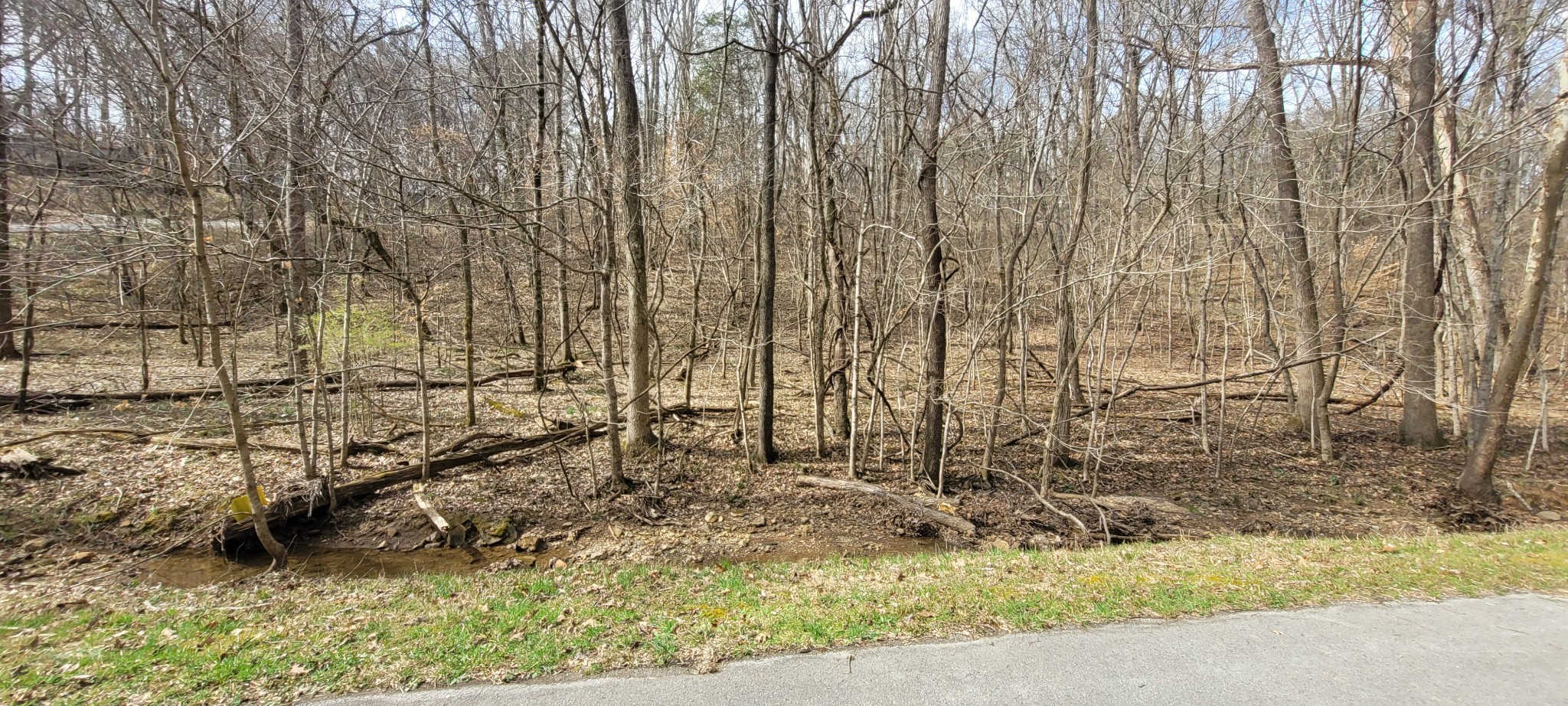 a view of a backyard of the house