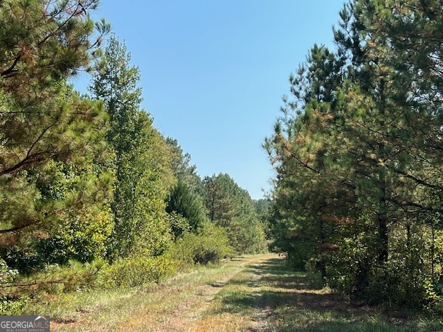 a view of a yard with a tree