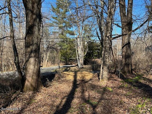 a view of a yard with large trees