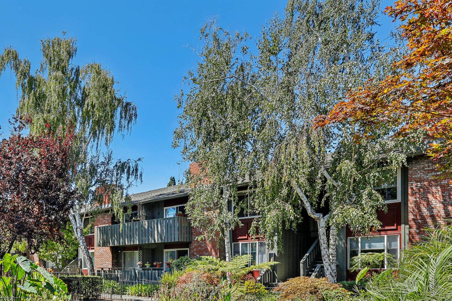 a view of a house with a tree