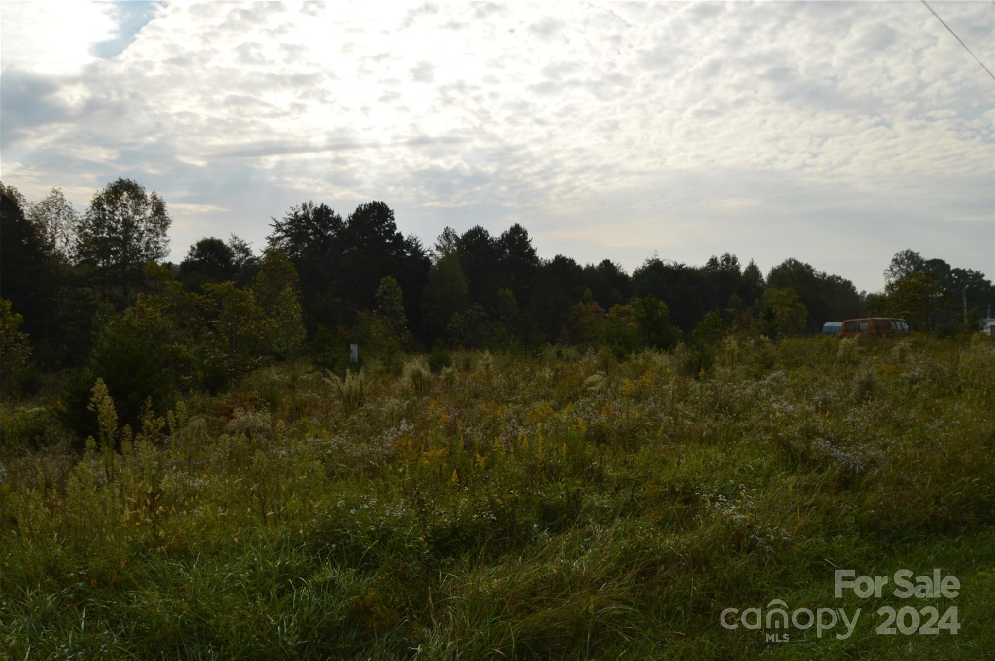 a view of a bunch of trees in a field