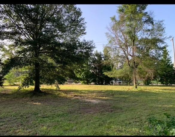 a view of grassy field with trees