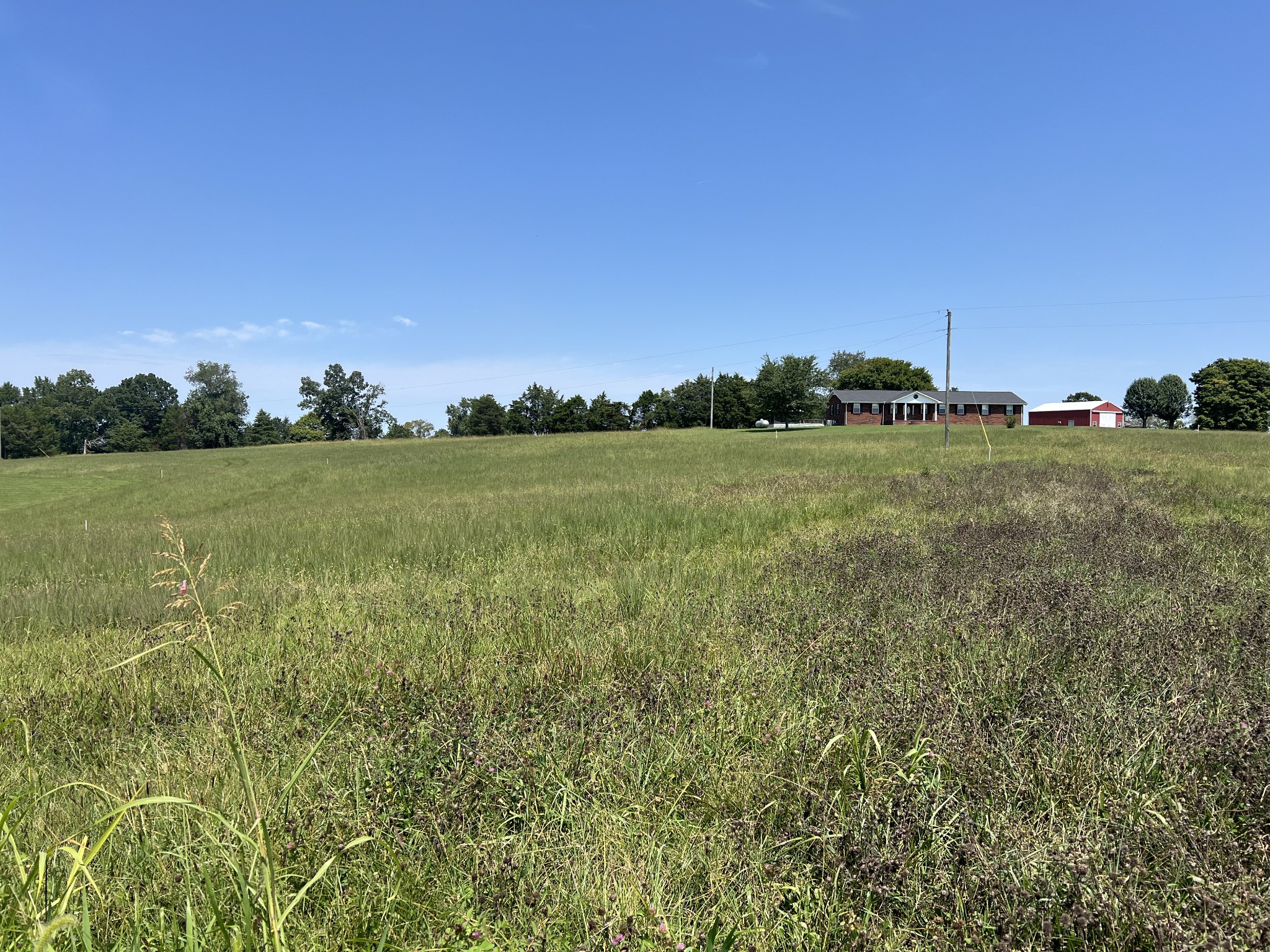 a view of a field with an ocean