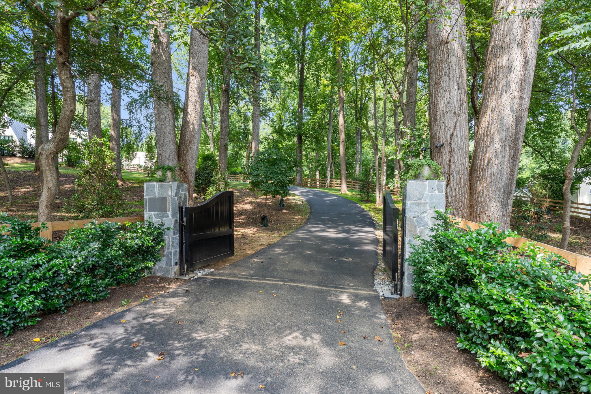 a view of a street with large trees and a pathway