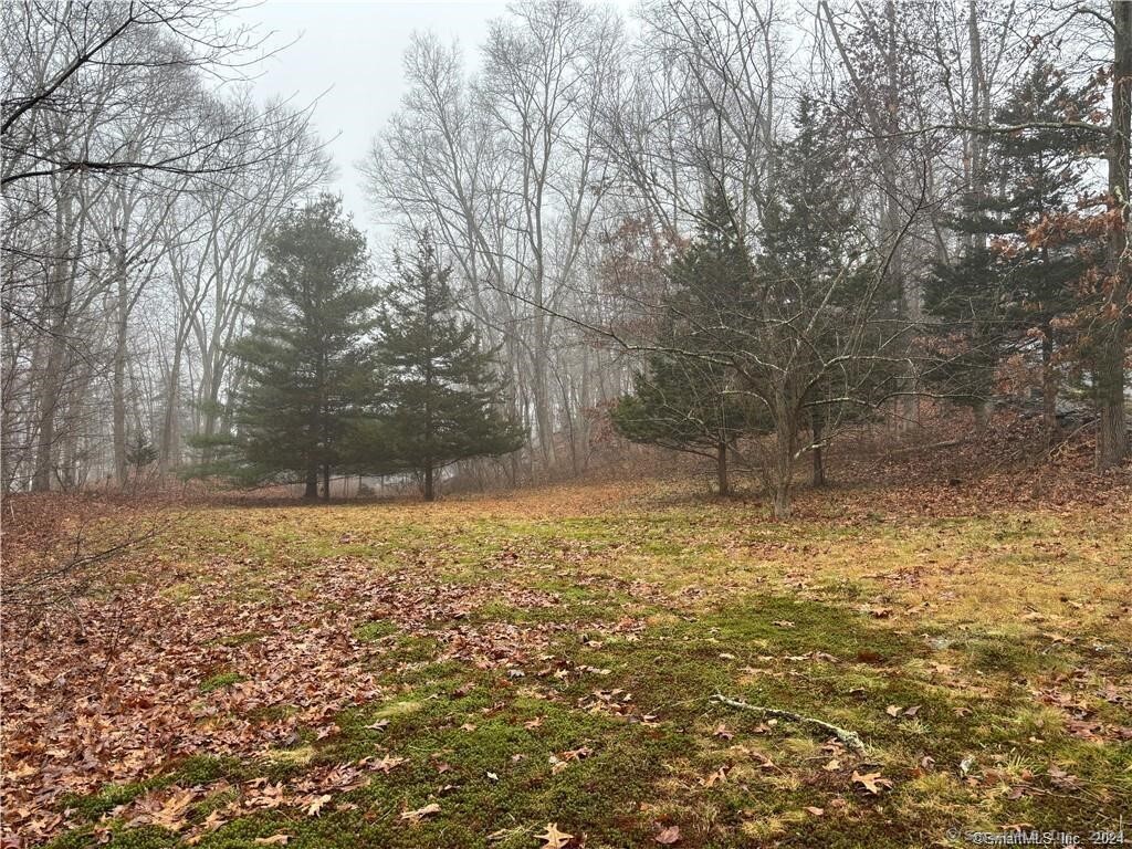 a view of a yard with a tree