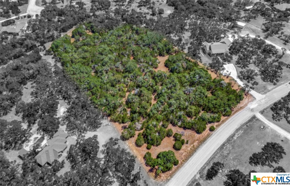 an aerial view of a forest with houses