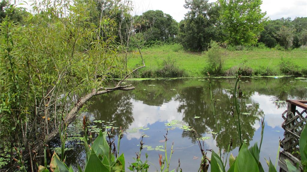 a view of a lake view with a garden