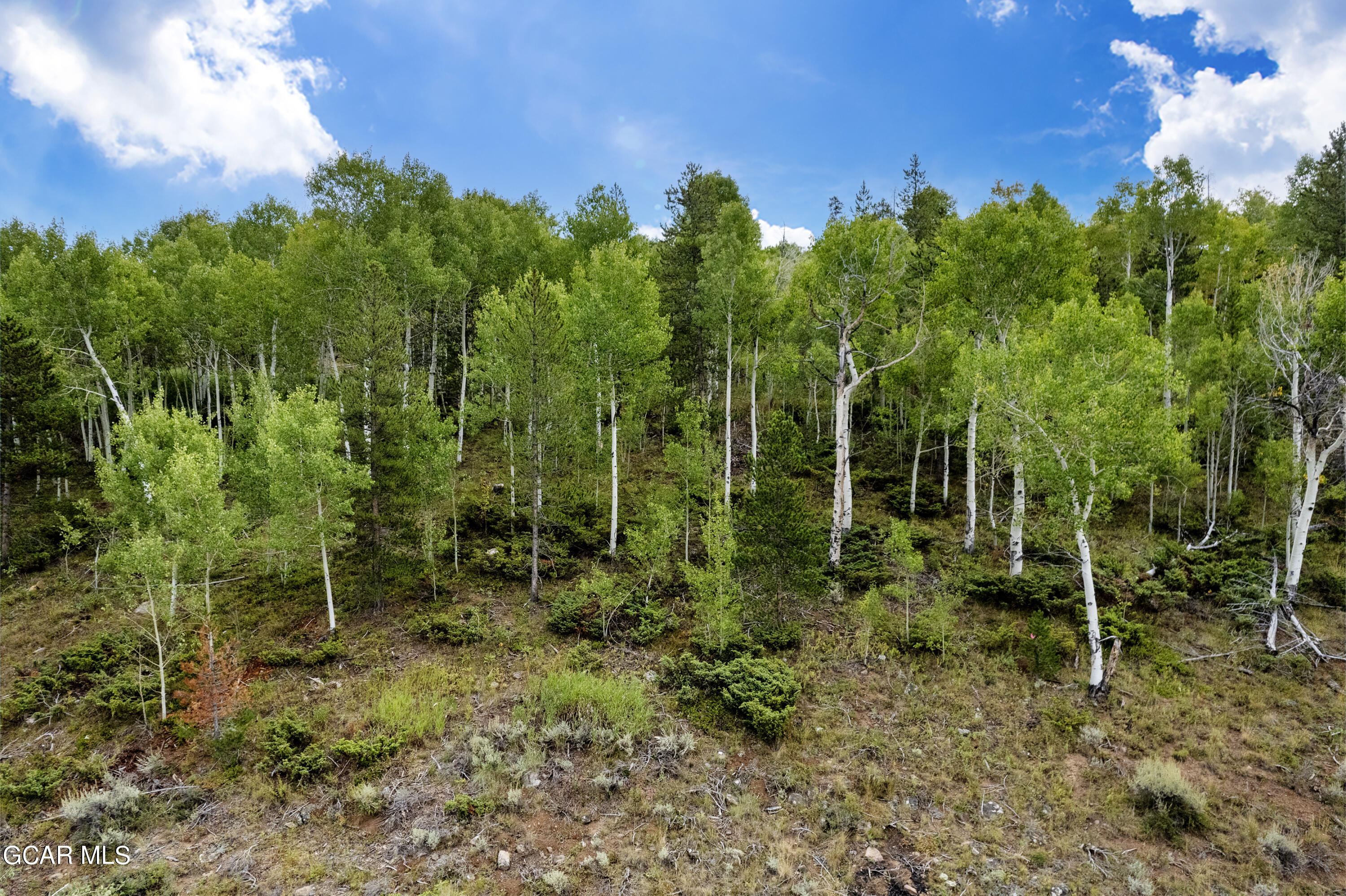 a view of an outdoor space and trees all around