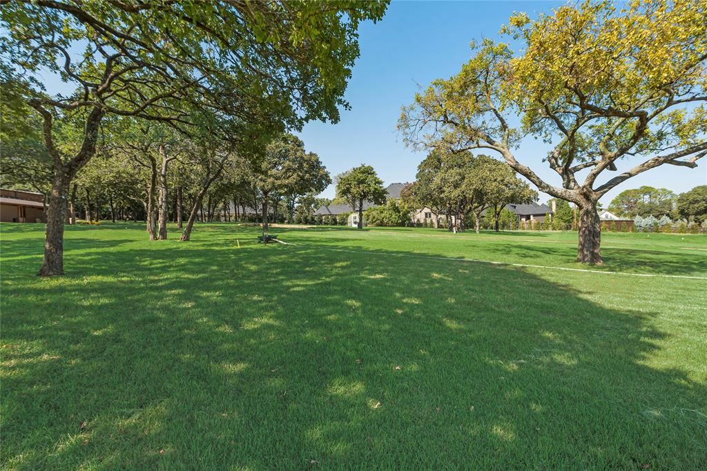 a view of a trees in a park