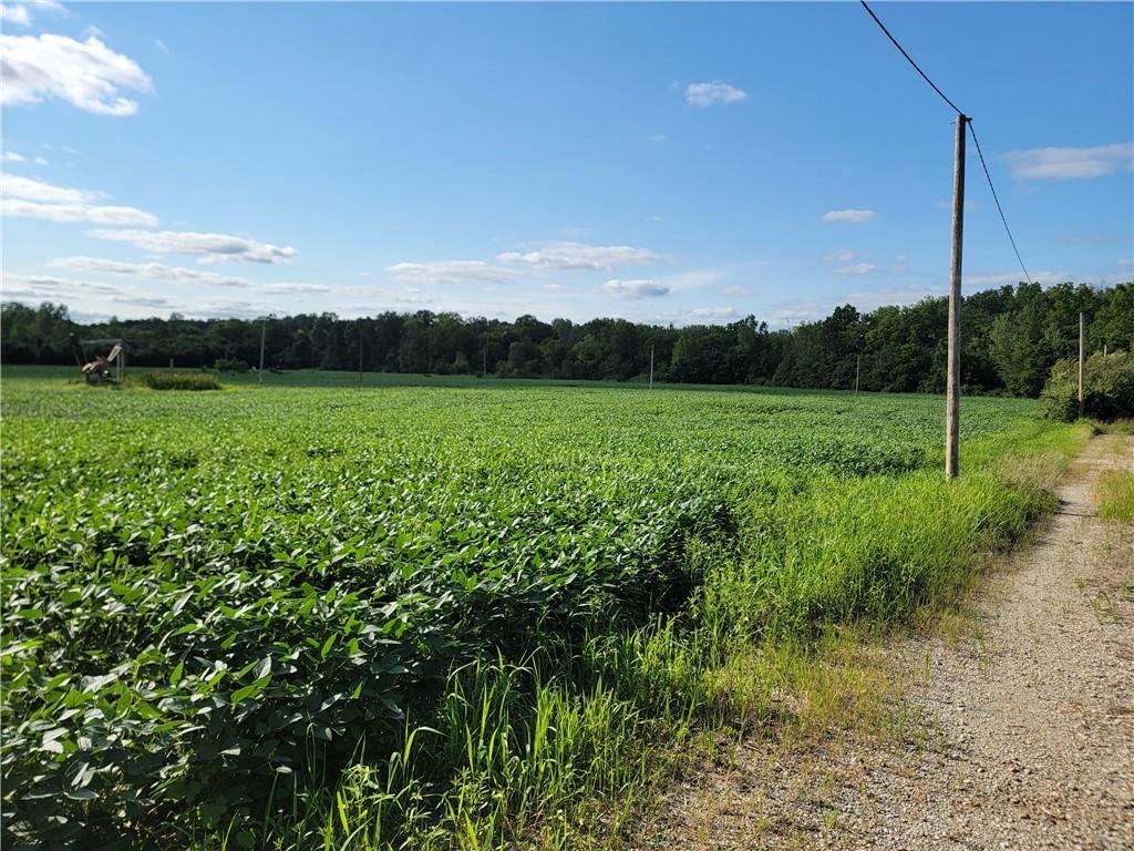 a view of a green field with lots of green space