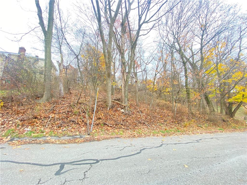 a view of a yard with trees