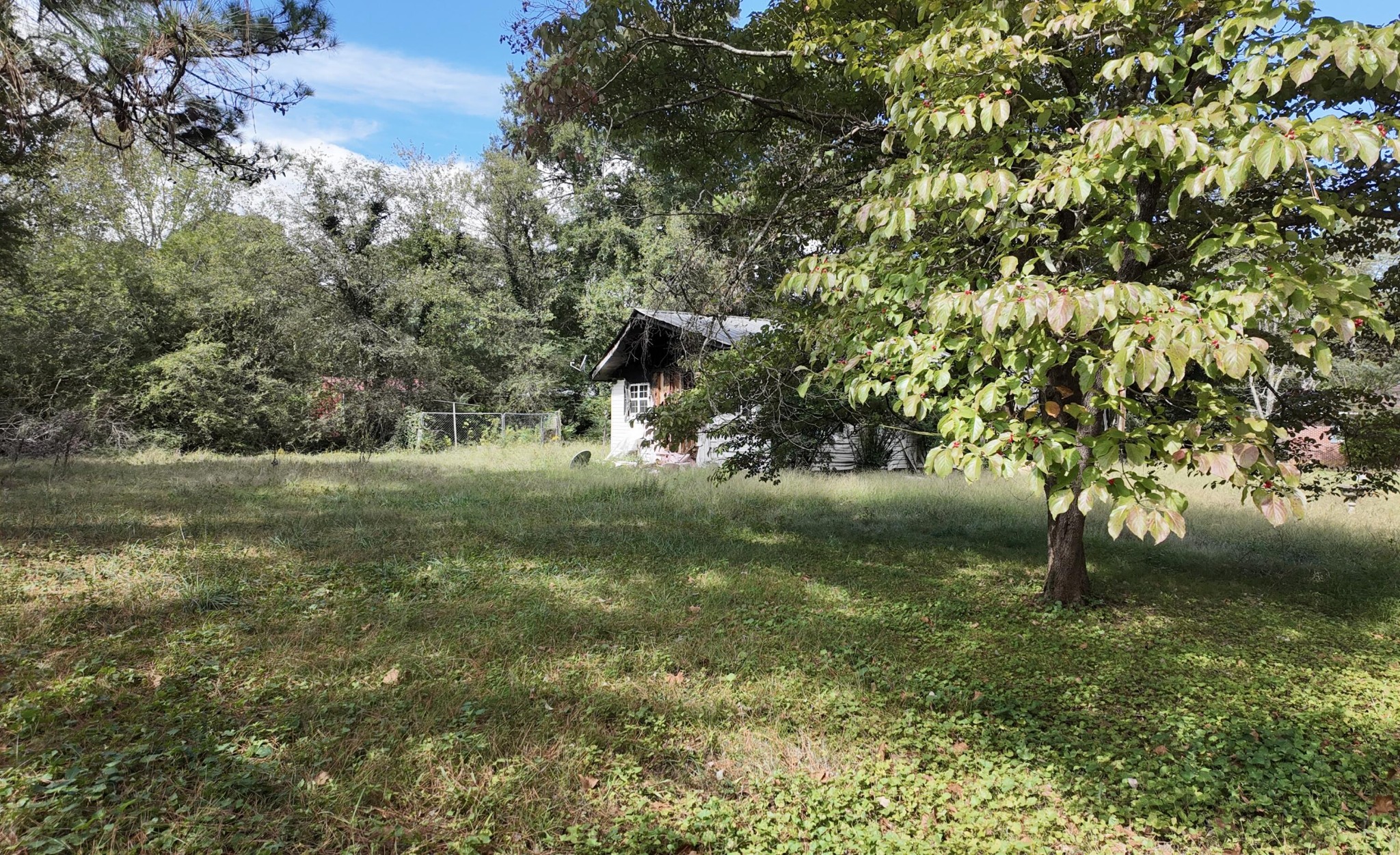 a view of outdoor space and yard