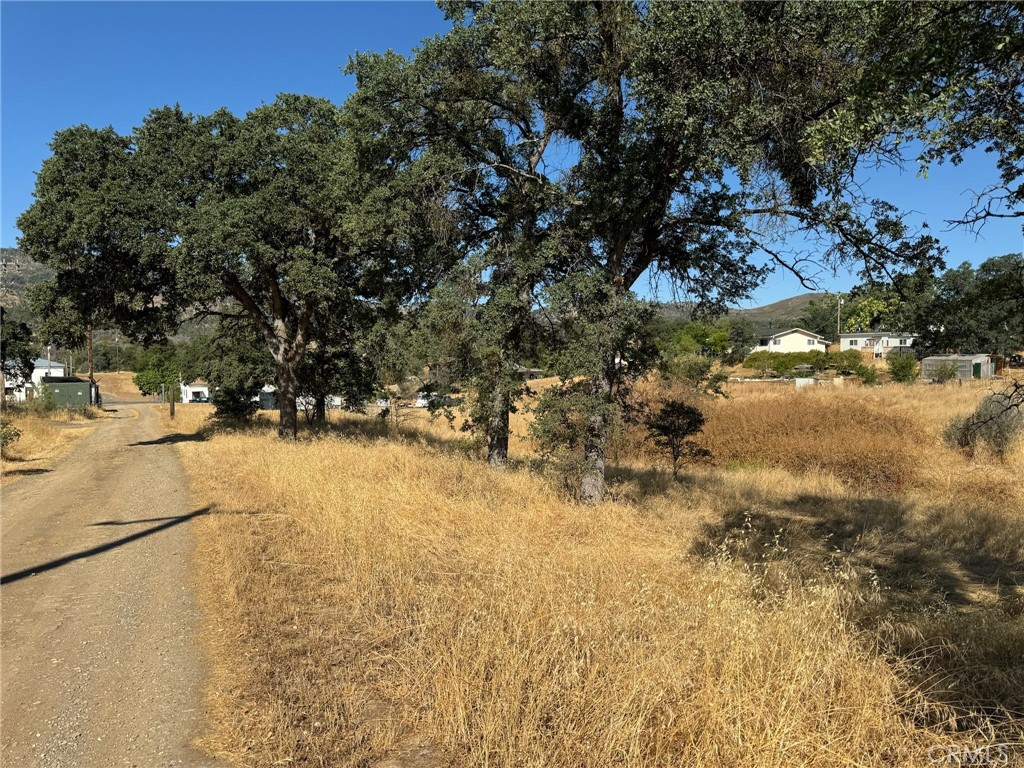 a view of outdoor space with trees