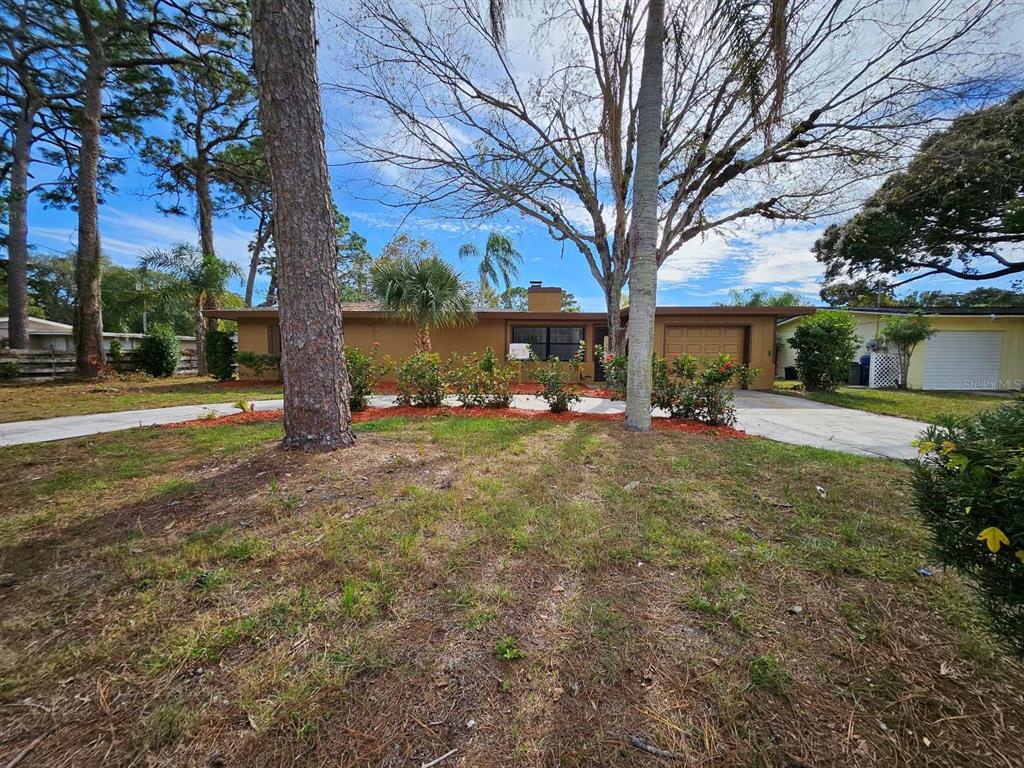 a view of a yard with a tree