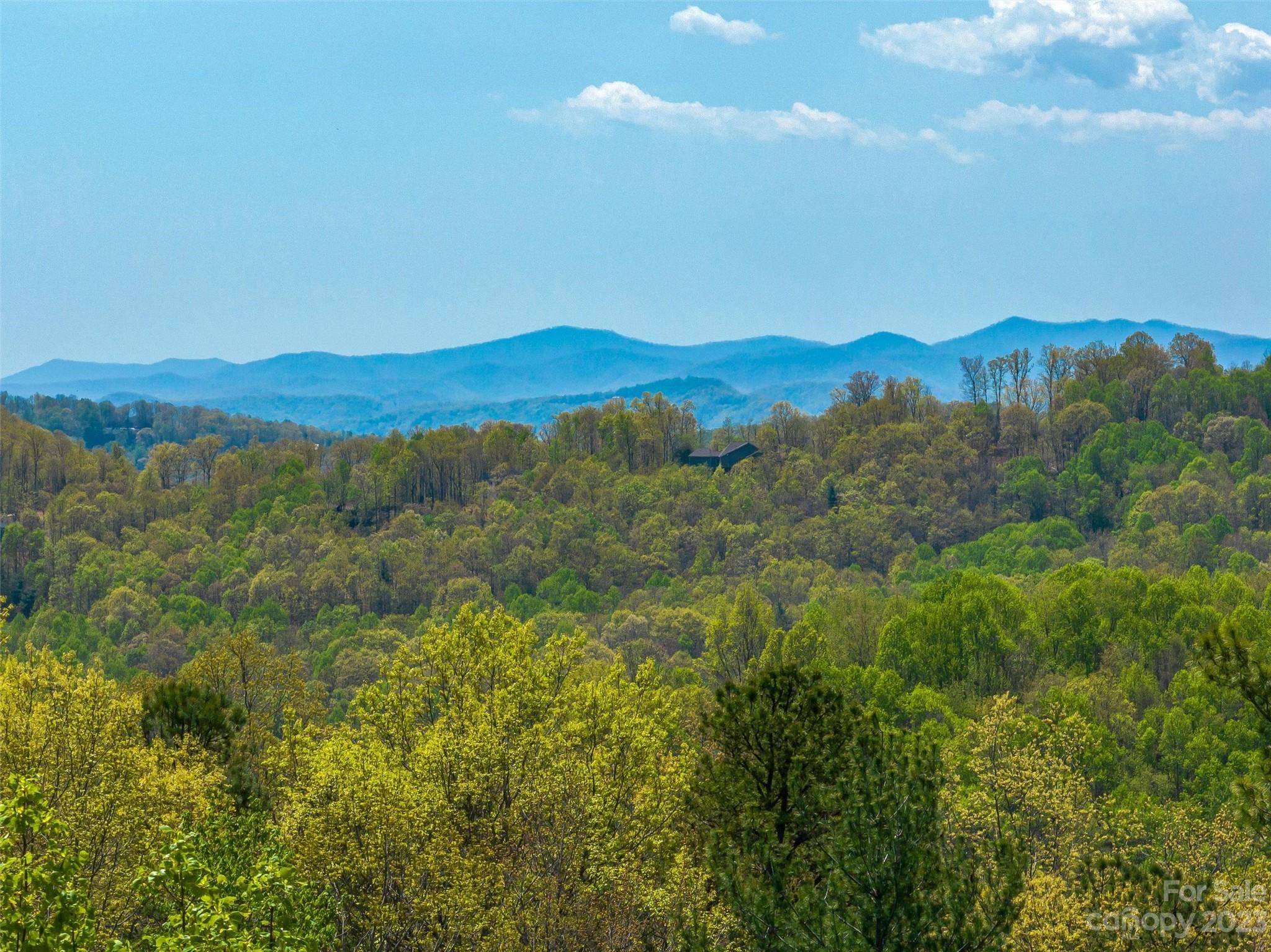 a view of a lush green forest with mountains in the background