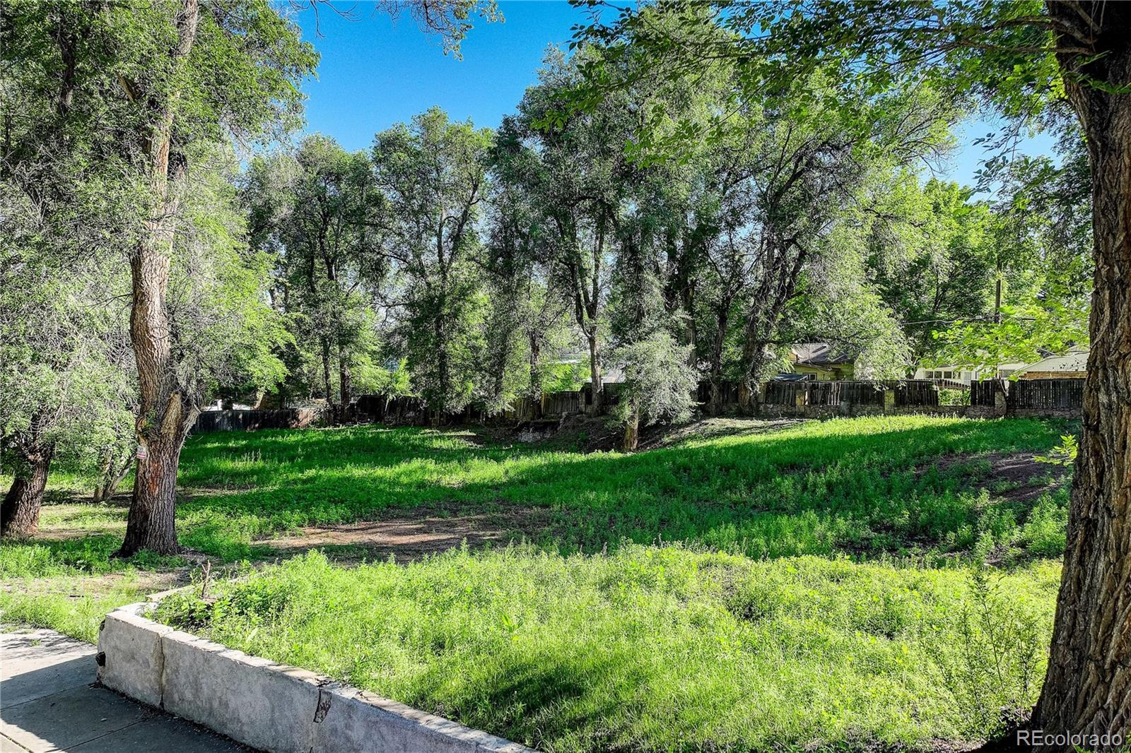 a view of backyard with large trees and flower plants