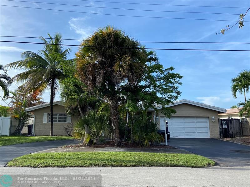 a house that has a tree in front of it