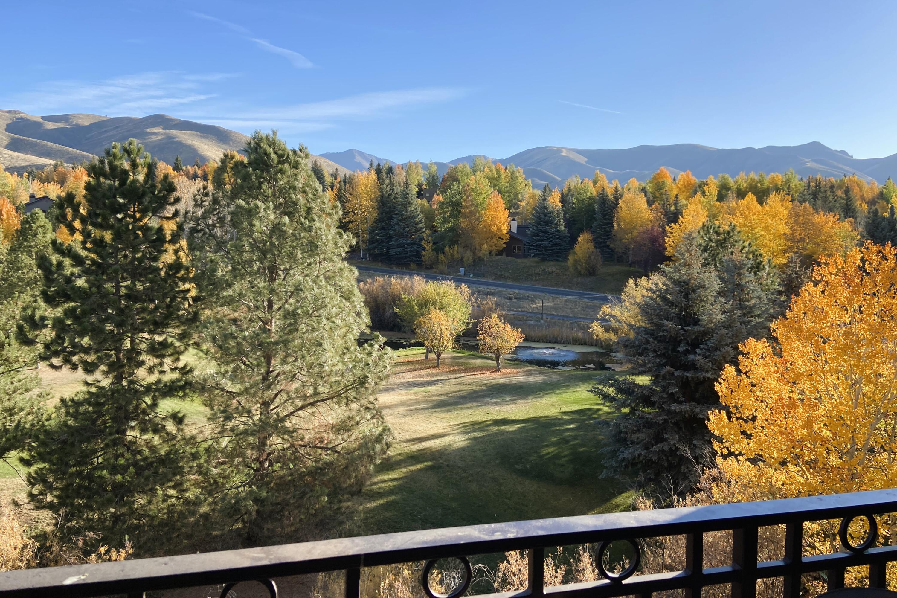 Fall View from Balcony