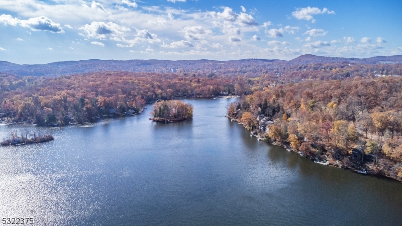 an aerial view of houses covered in trees