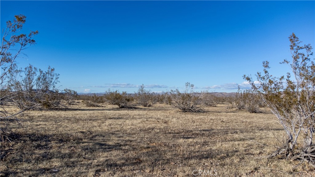 a view of a field with trees in background