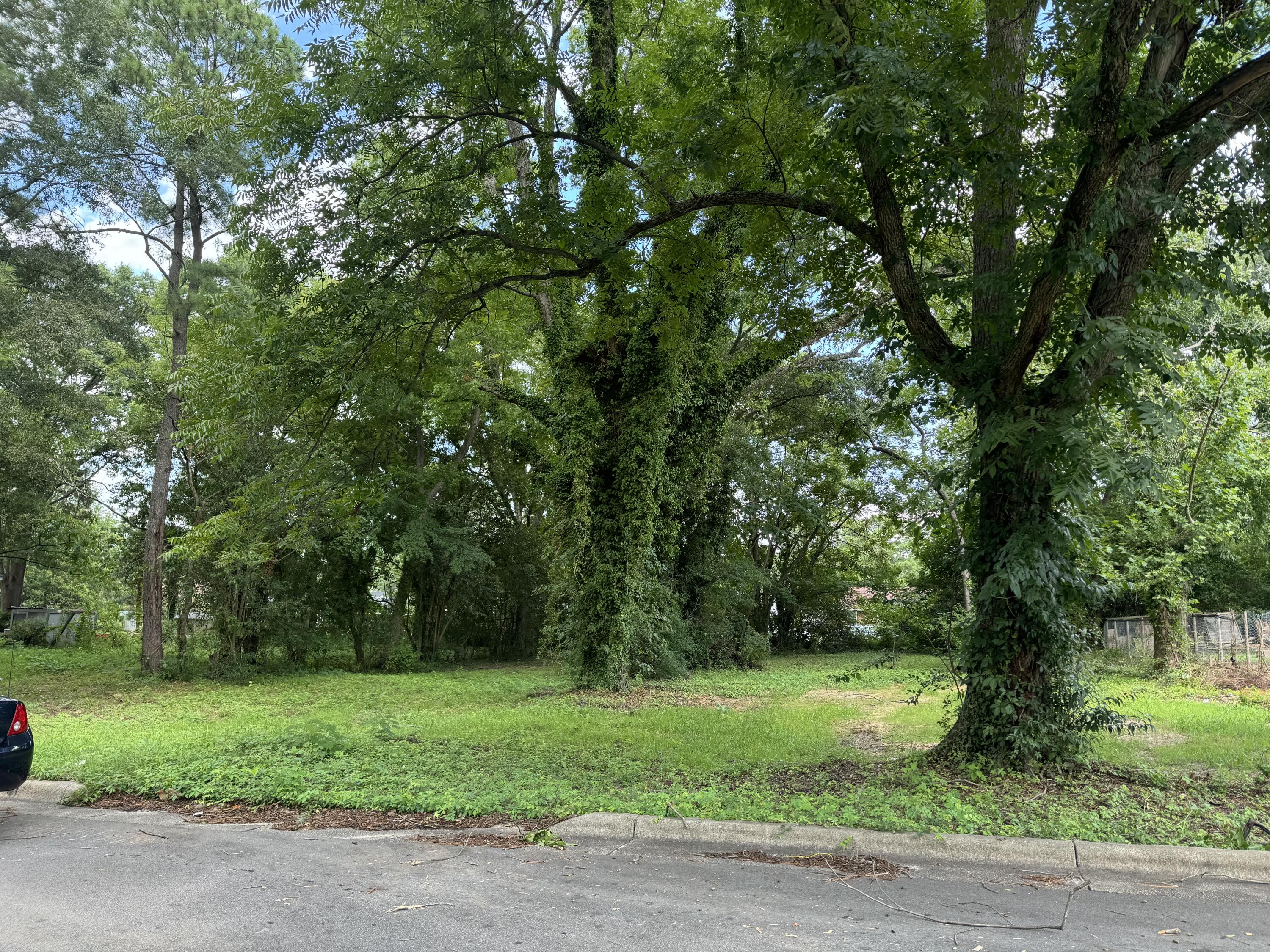 a view of backyard with green space