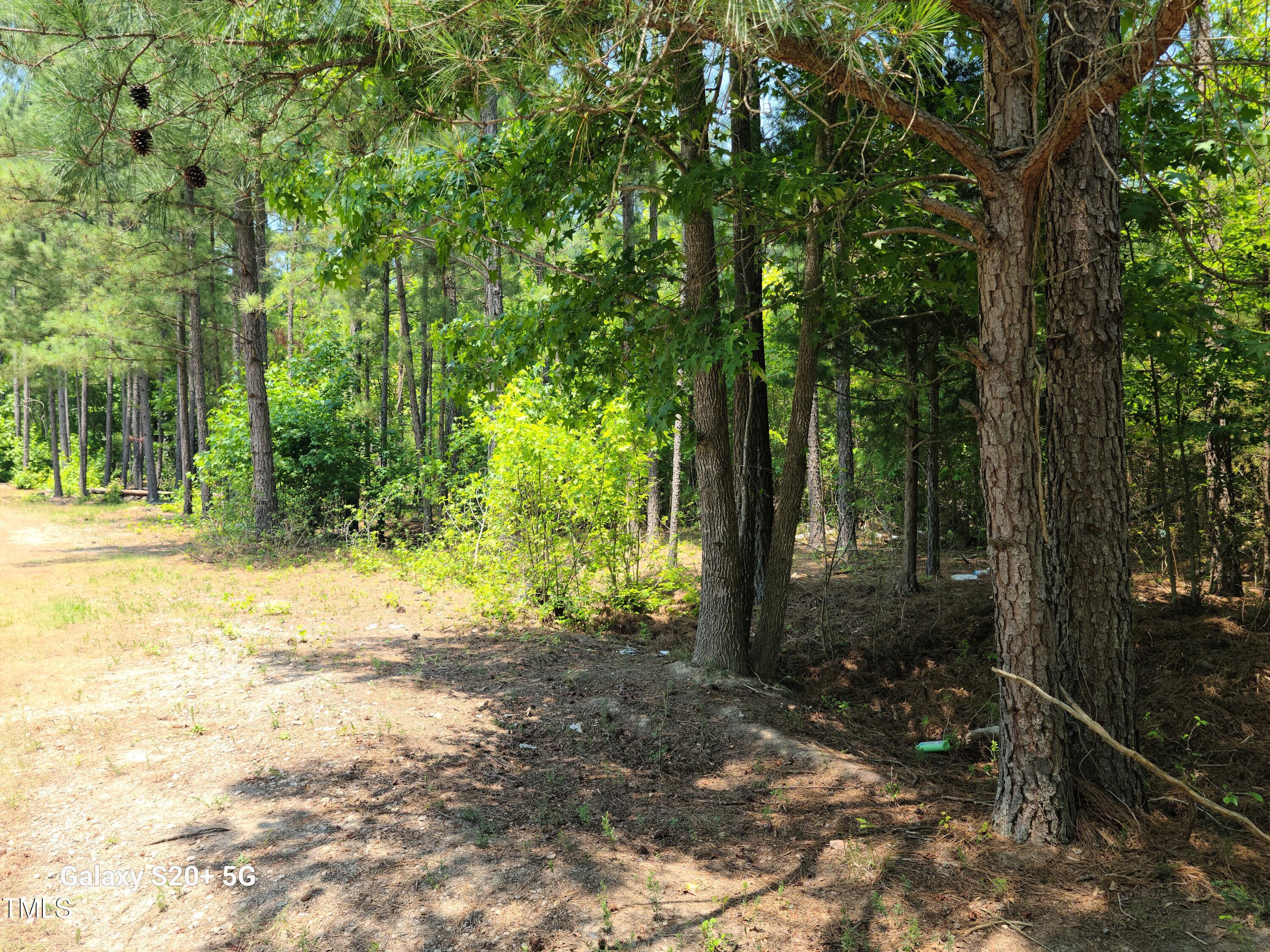 a view of a yard with plants and trees