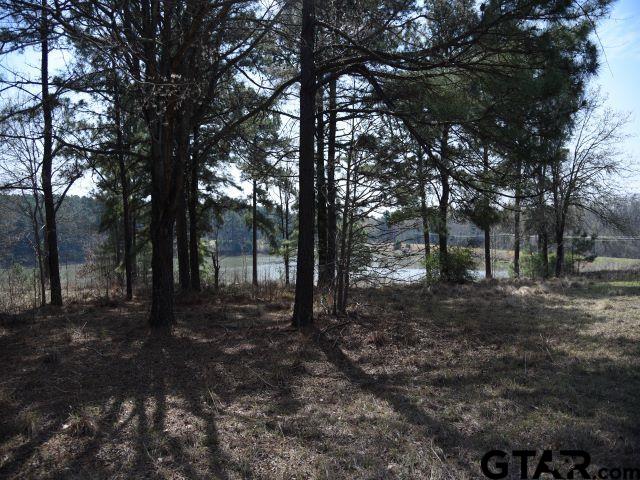 a view of outdoor space with lots of trees