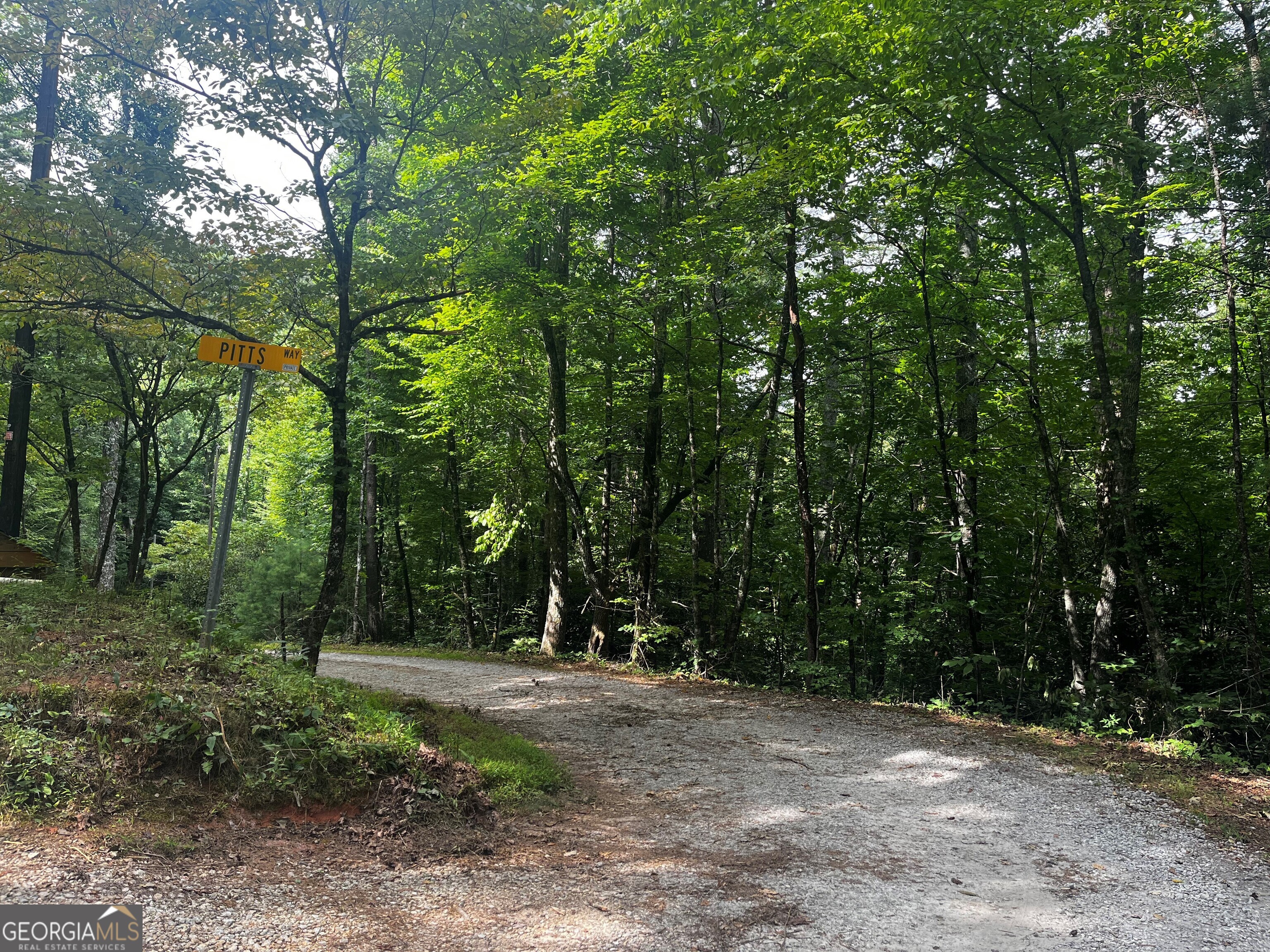 a view of outdoor space and trees