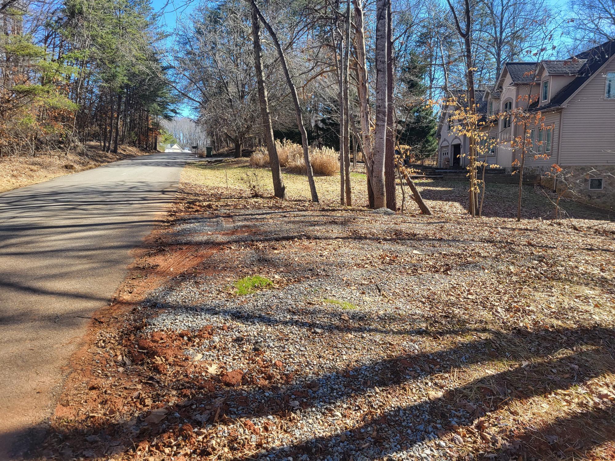 a view of a yard with a tree