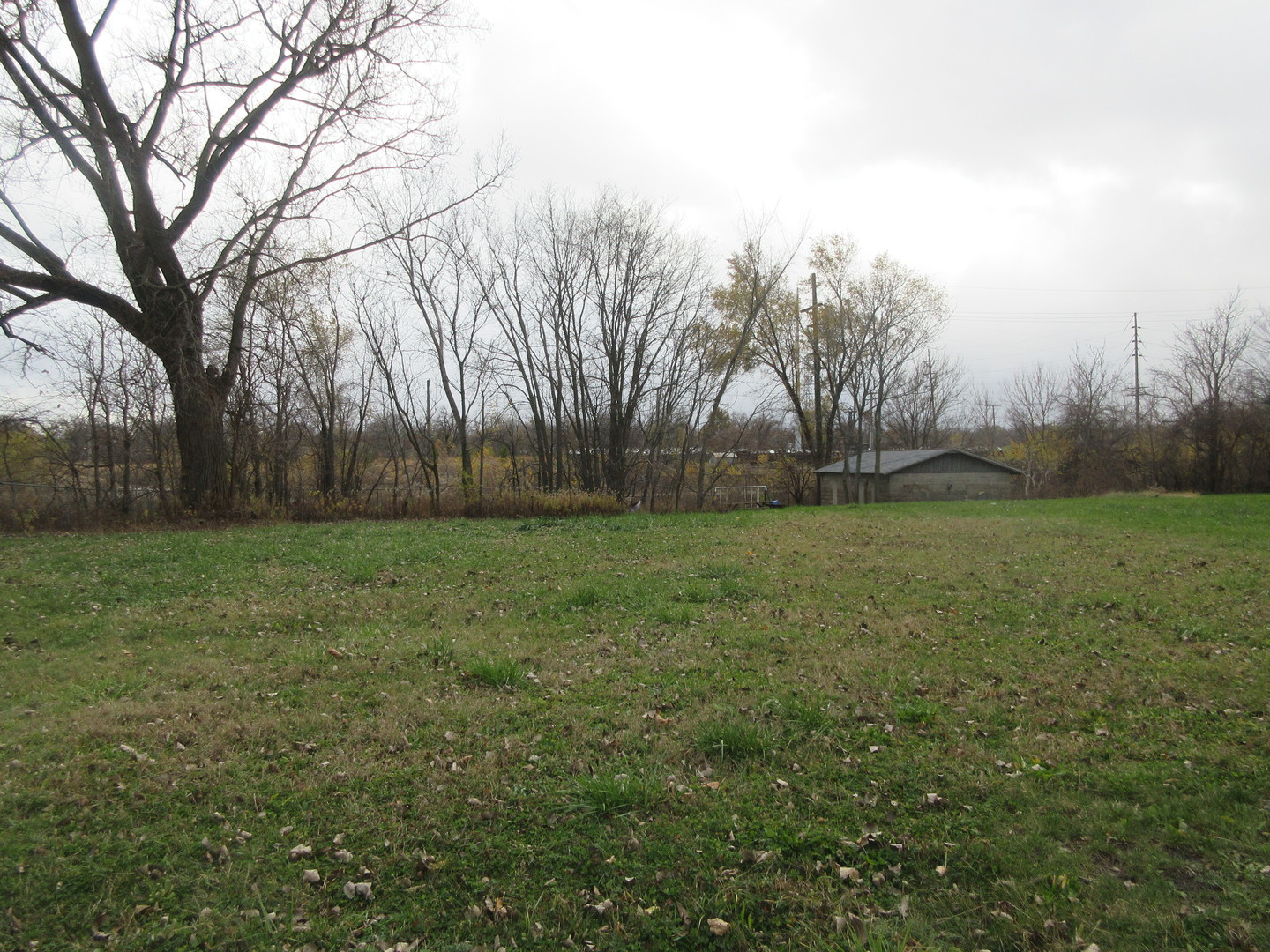 a view of a yard