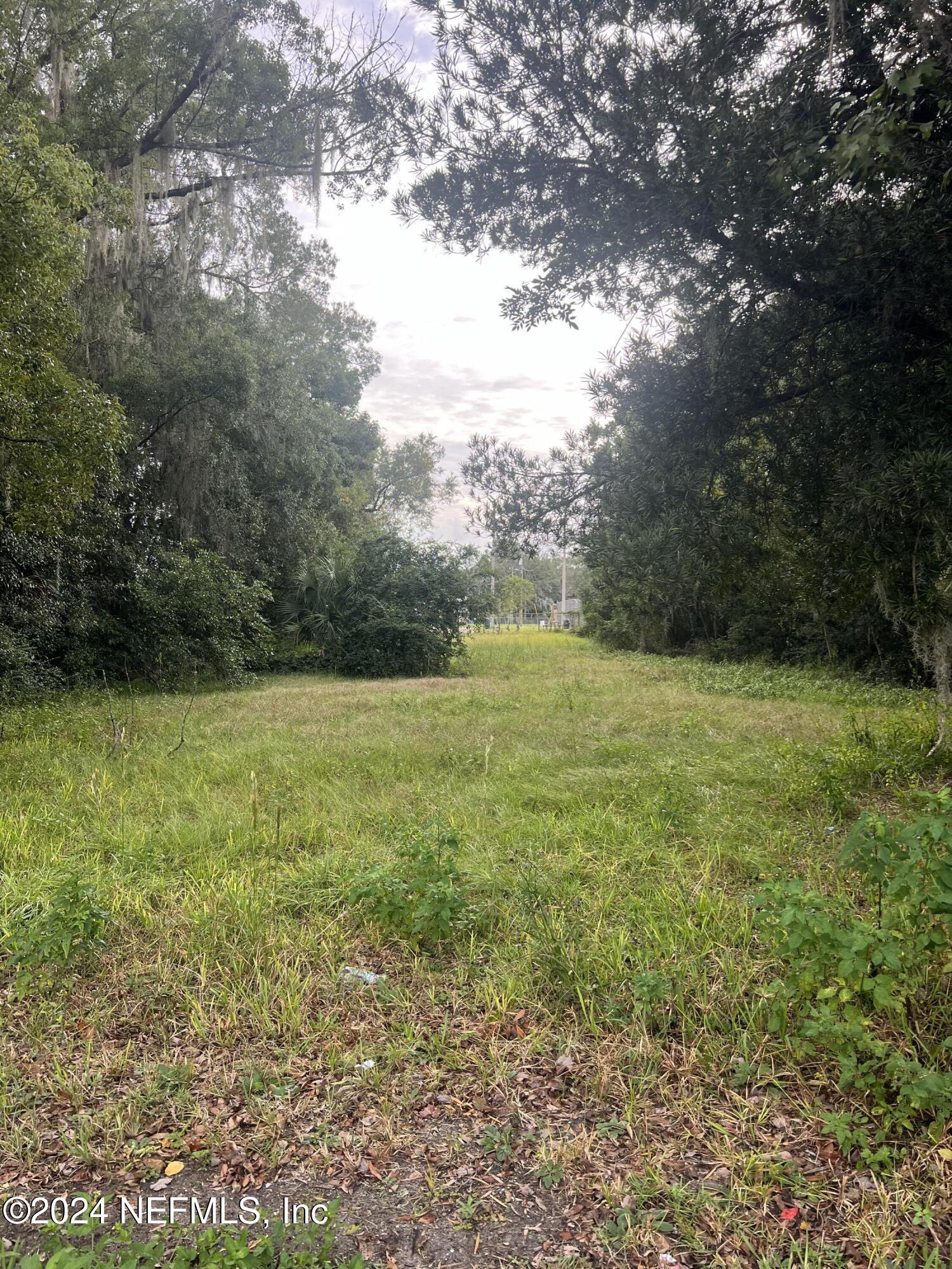 a view of a field with an trees