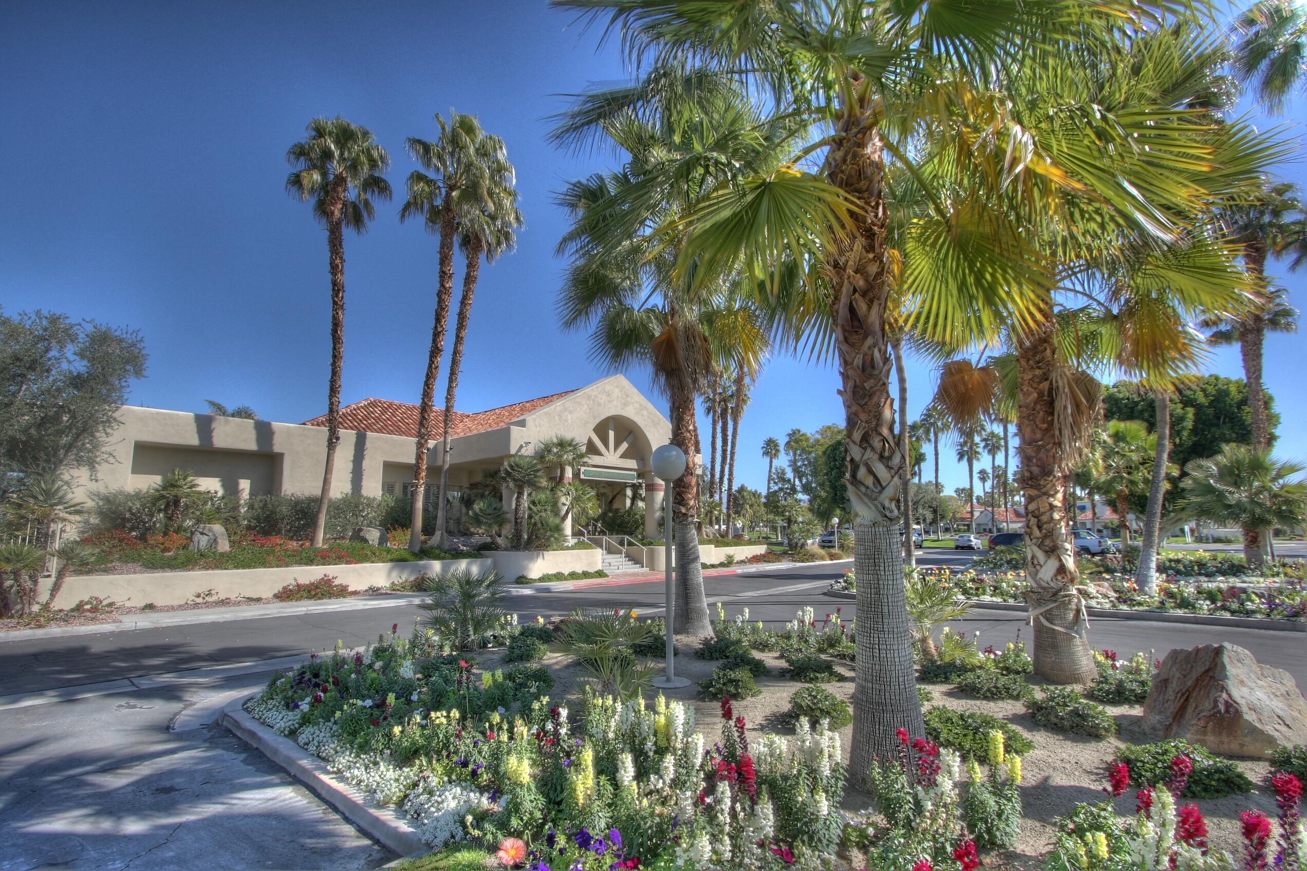 a view of a park with palm tree