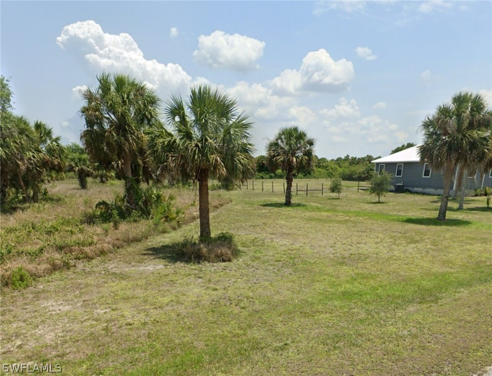 a view of a tree in a yard