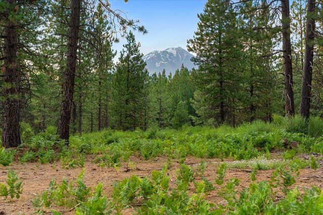 $299,000 | Lot A Timber Country Ranch Road