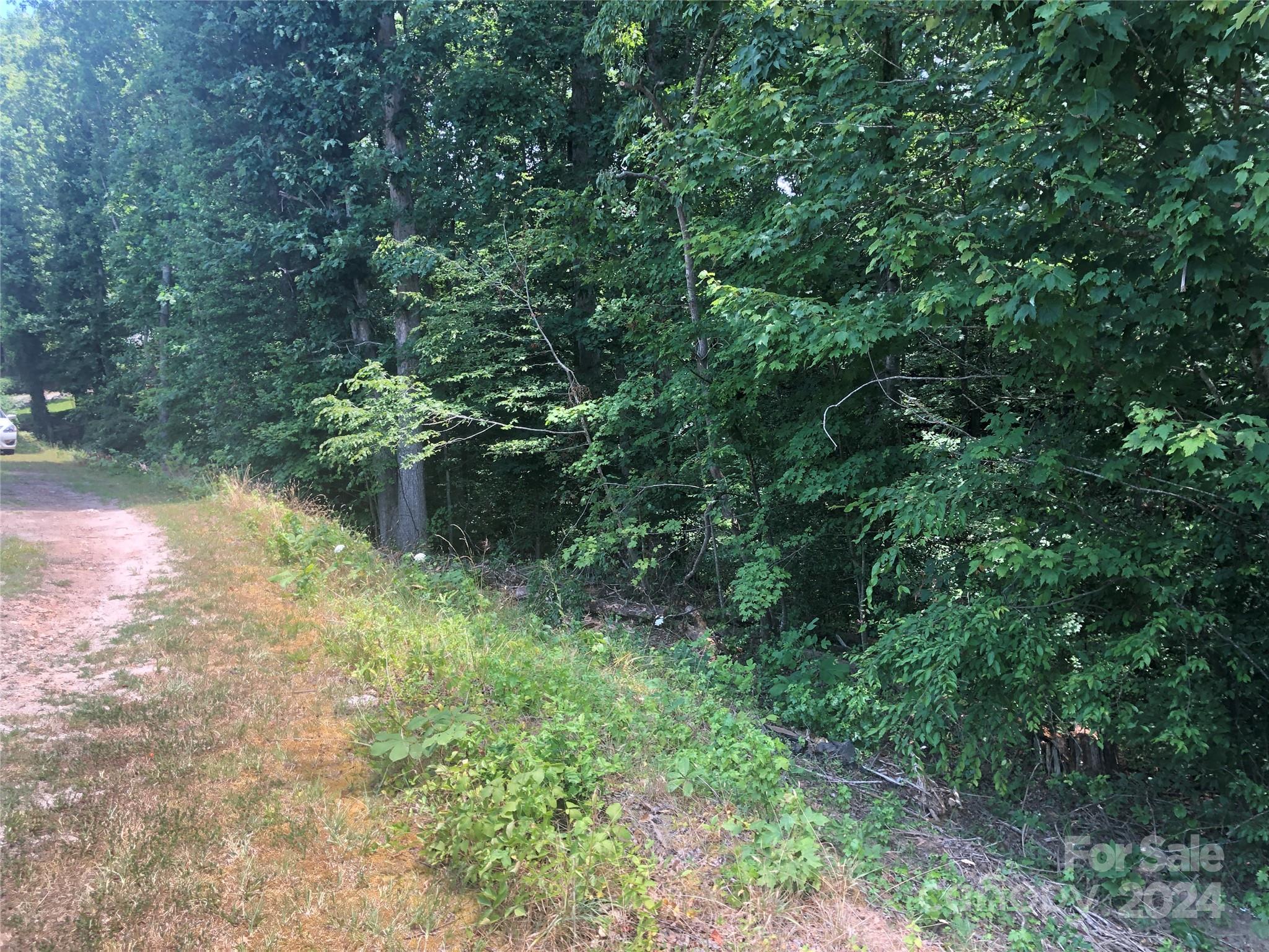 a view of a lush green forest with lawn chairs and a fire pit