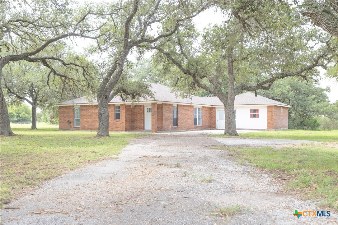 a view of a yard in front of a house with a large tree