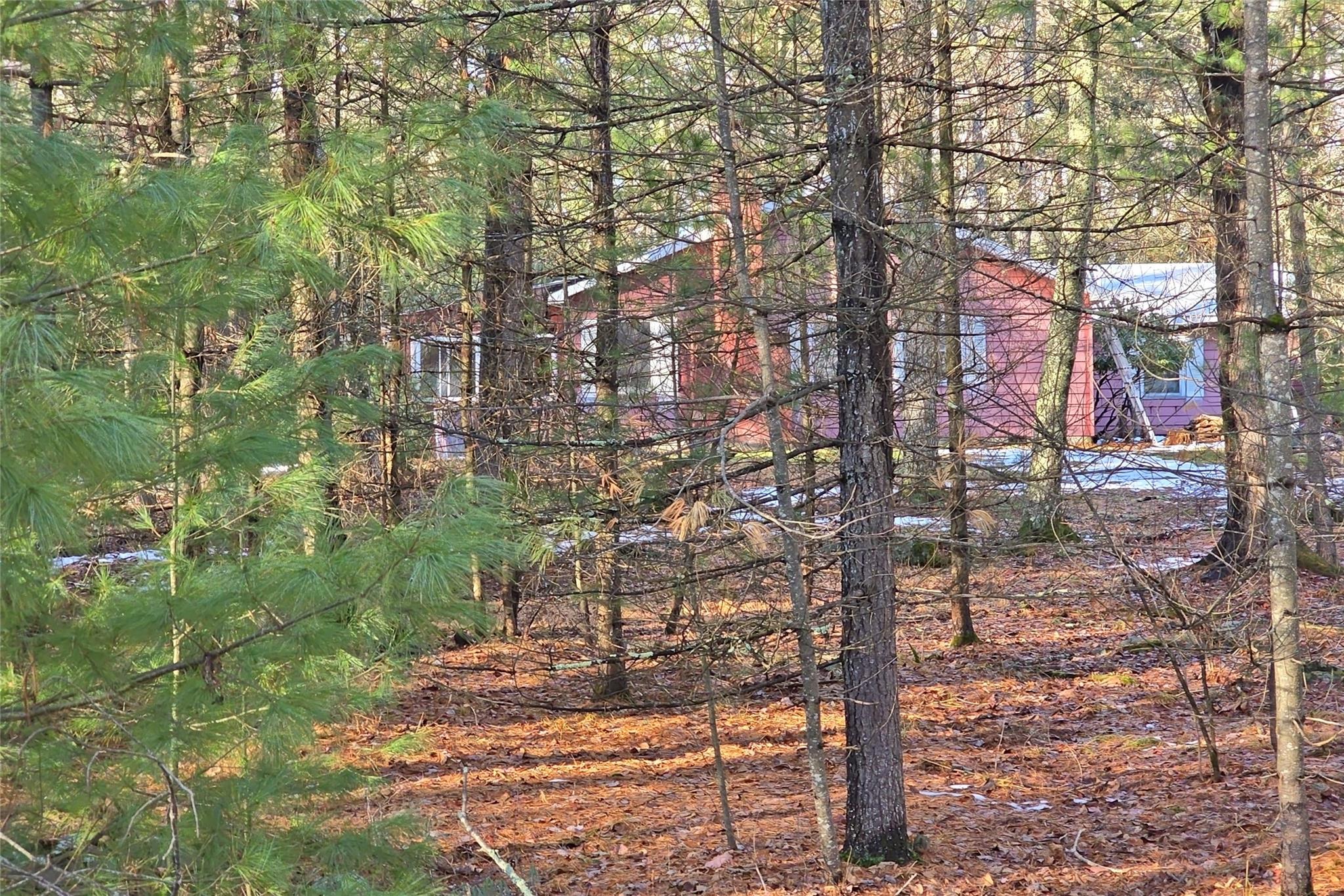 View of local wilderness