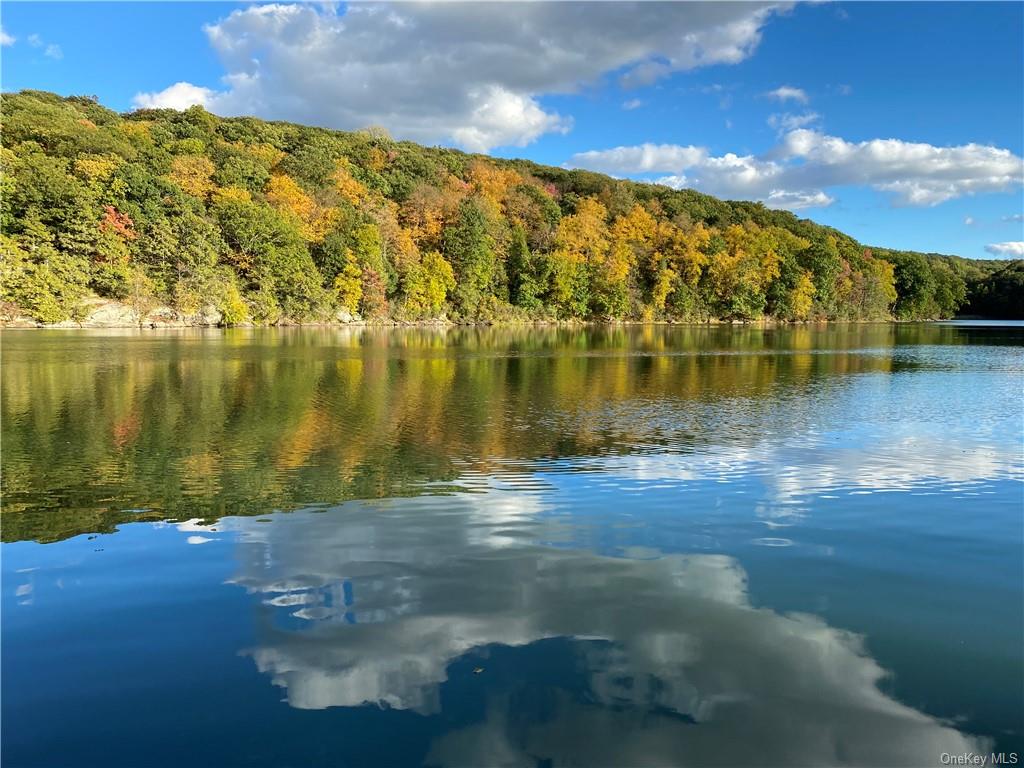 a view of a lake with a yard